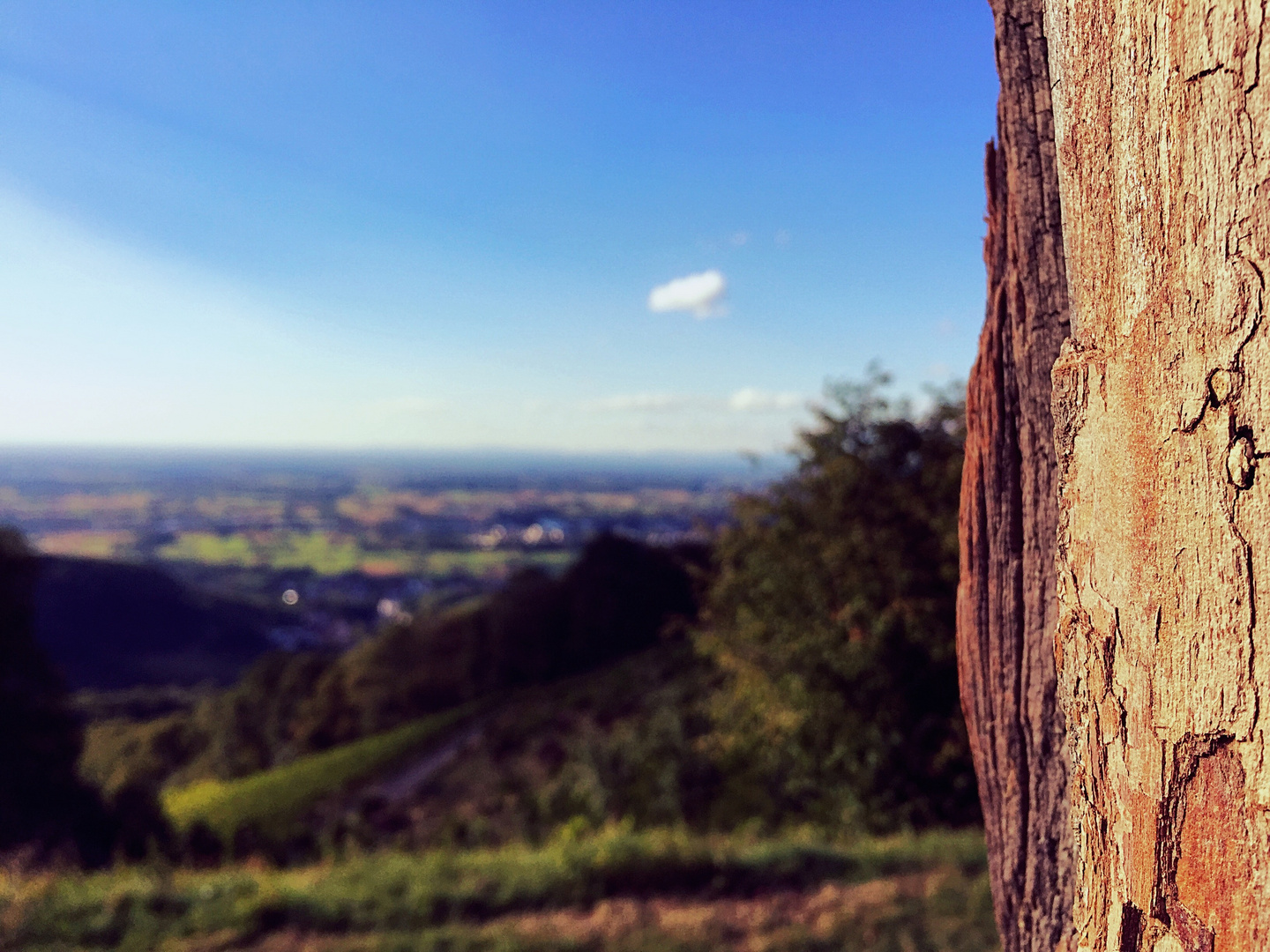 Schwarzwald Aussicht