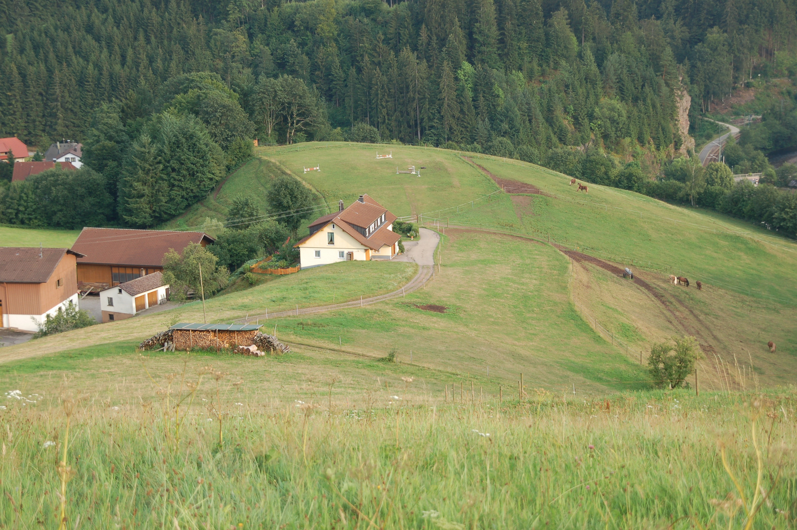 Schwarzwald