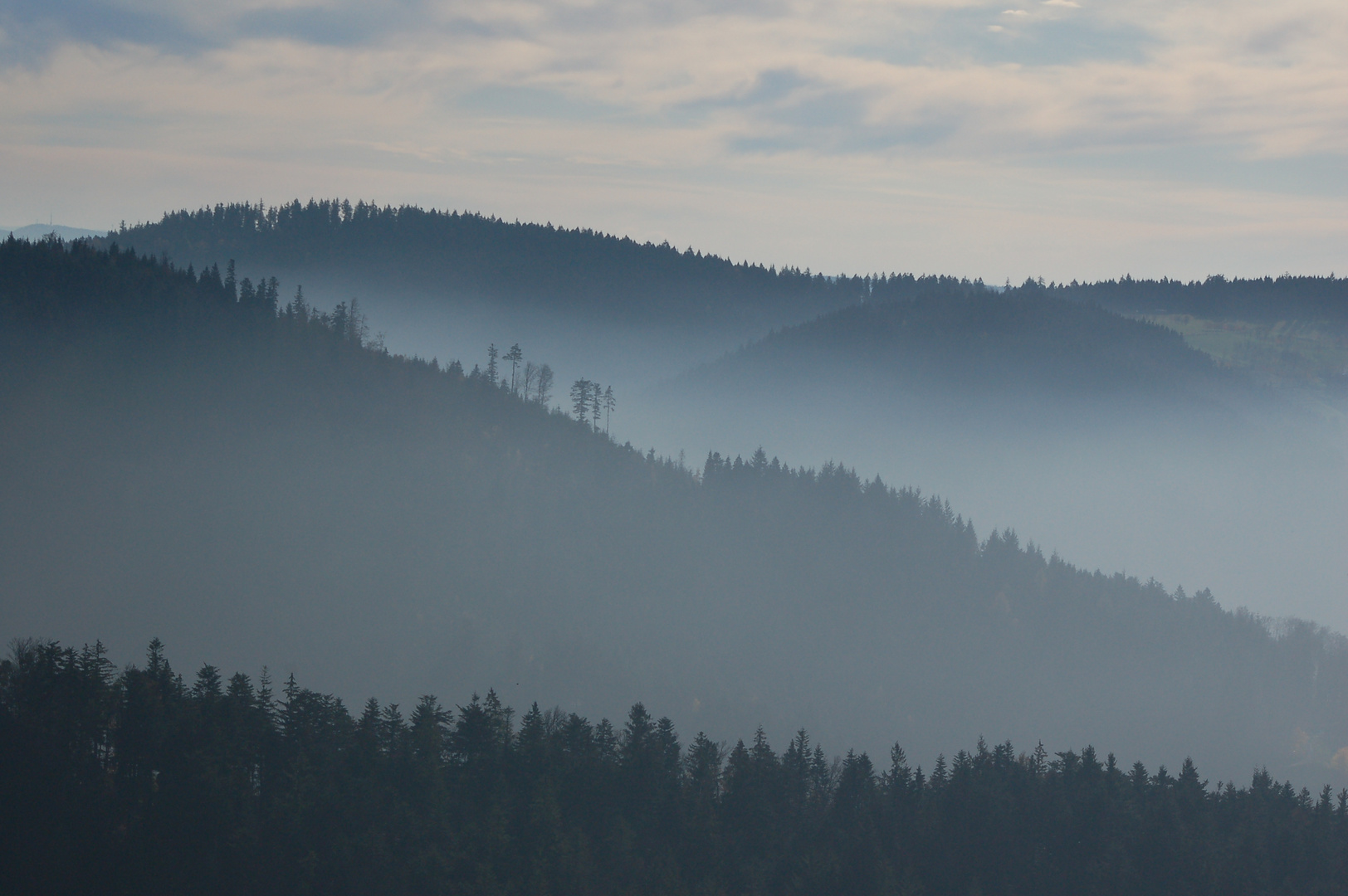 Schwarzwald