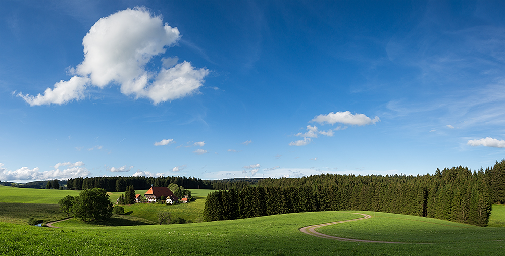 Schwarzwald