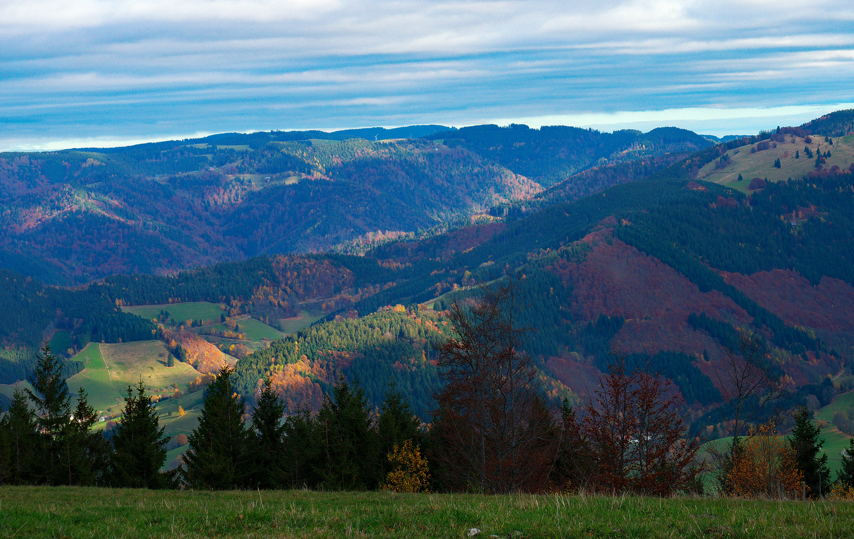 Schwarzwald bei Freiburg im 'Herbstkleid'