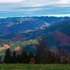 Schwarzwald bei Freiburg im 'Herbstkleid'