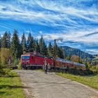 Schwarzwald bei Hinterzarten