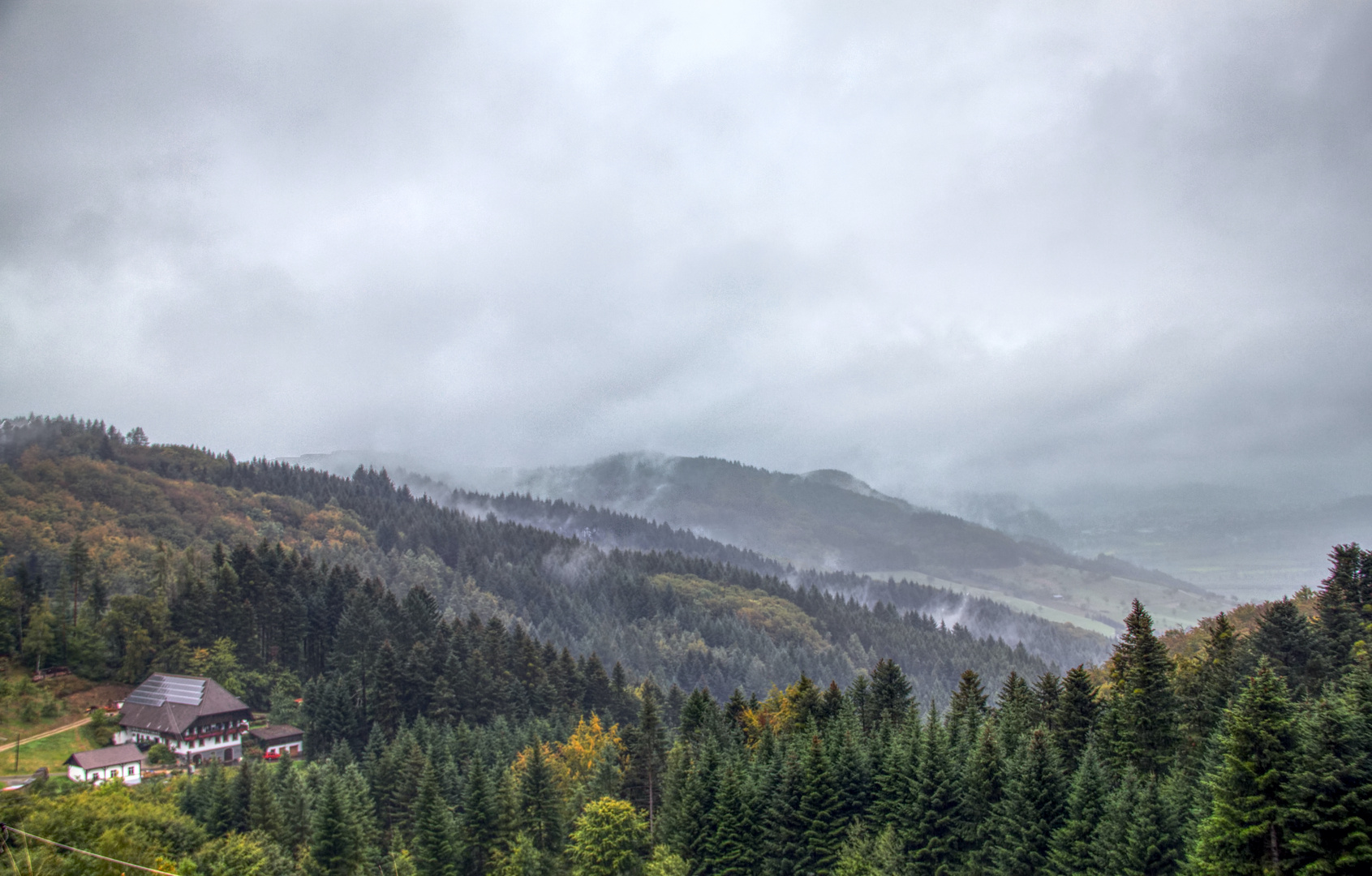 Schwarzwald bei Regen