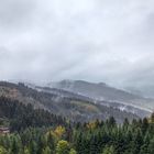 Schwarzwald bei Regen