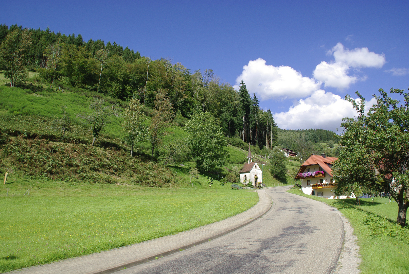 Schwarzwald bei Simonswald