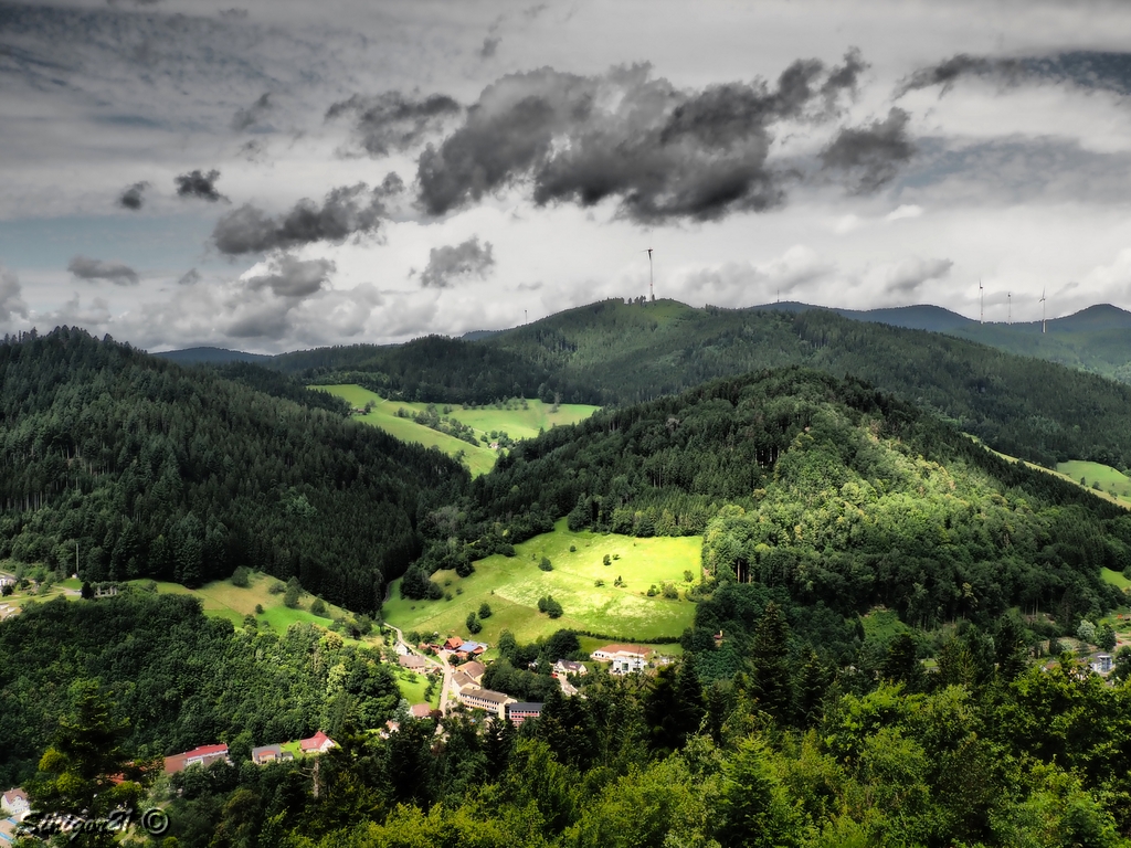 Schwarzwald bei Wolfach