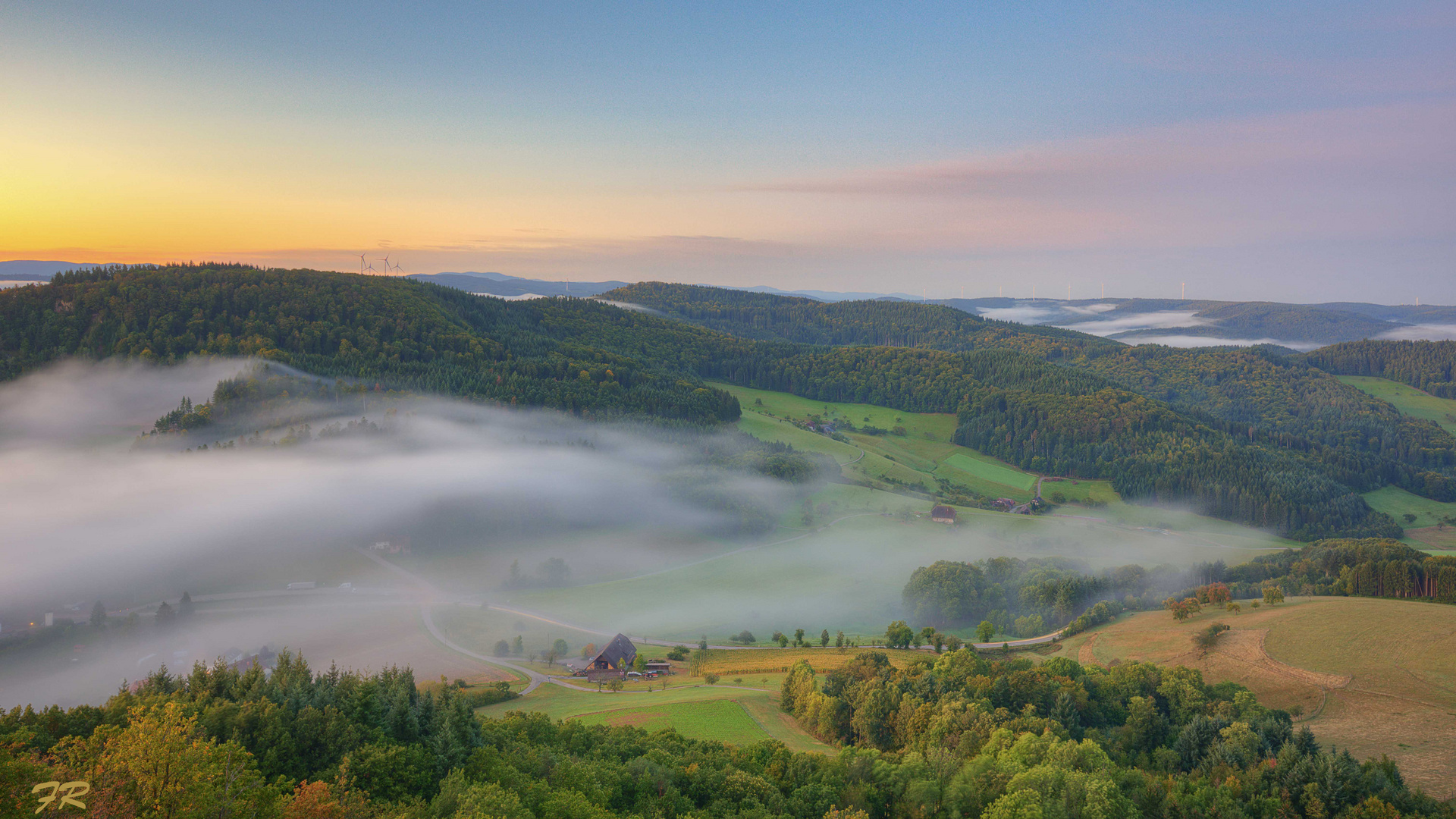 Schwarzwald *benebelt*