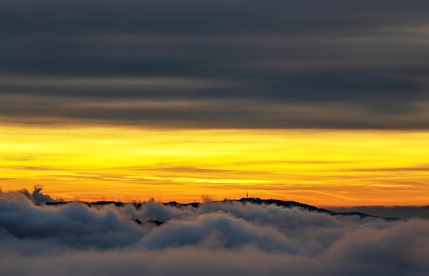 Schwarzwald Blick 2019