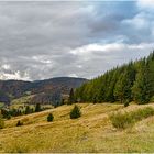 Schwarzwald Blick