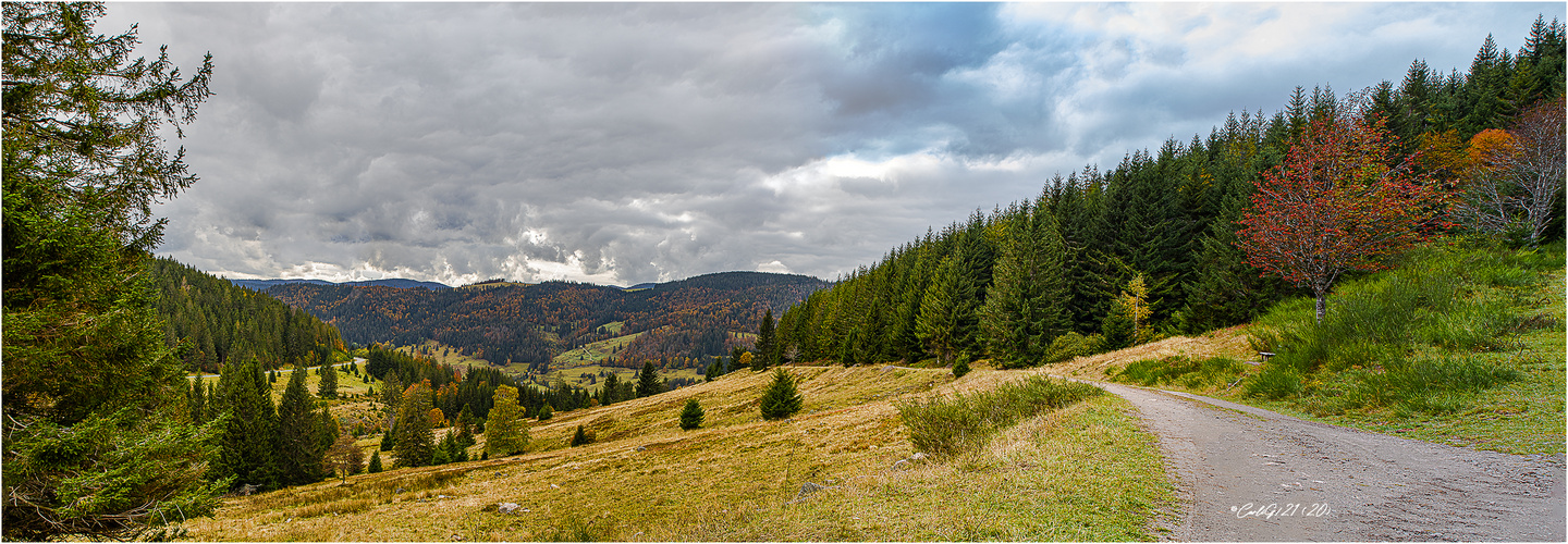 Schwarzwald Blick