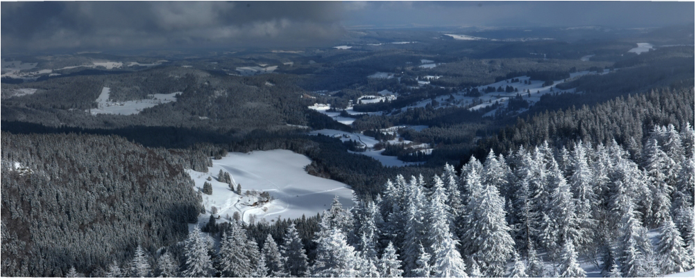 SCHWARZWALD - Blick ins Bärental