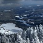 SCHWARZWALD - Blick ins Bärental