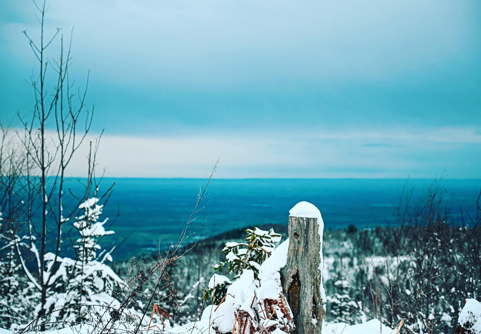 Schwarzwald Blickrichtung Vogesen