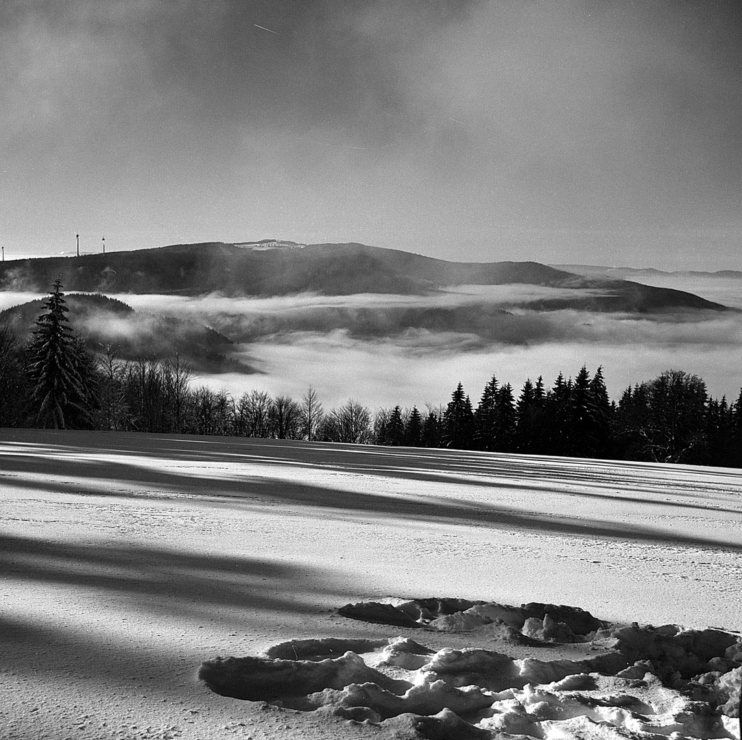 Schwarzwald, Brend,  Blick auf den Kandel