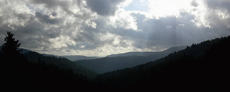 Schwarzwald