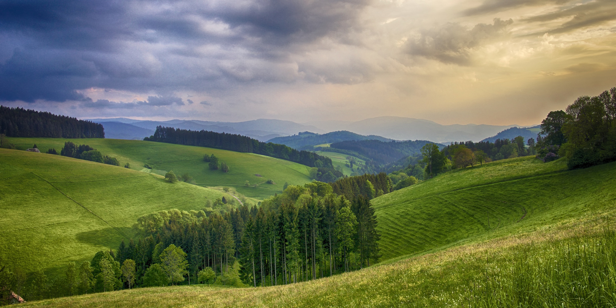 Schwarzwald