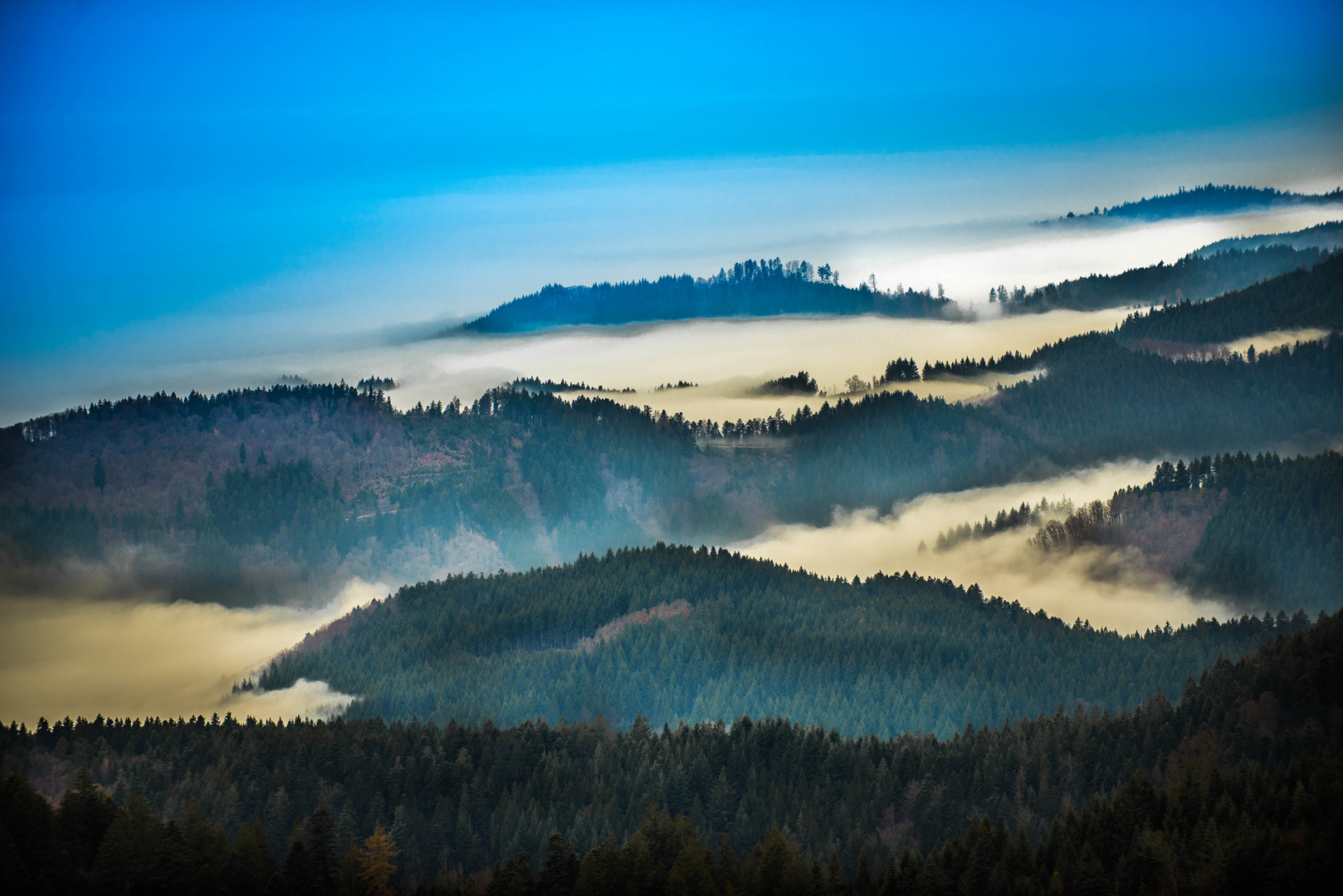 Schwarzwald