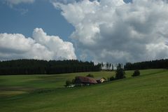 Schwarzwald