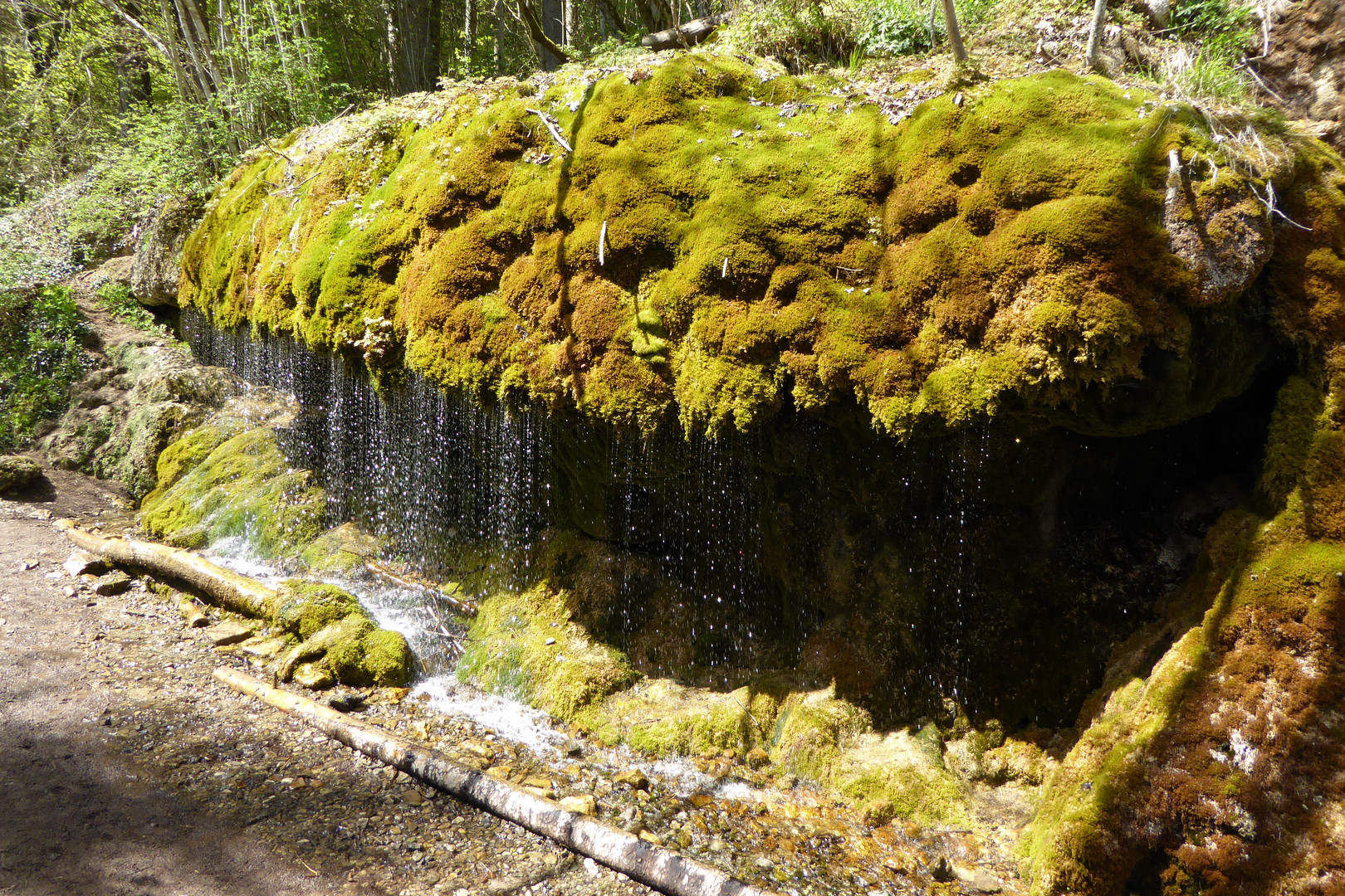 Schwarzwald