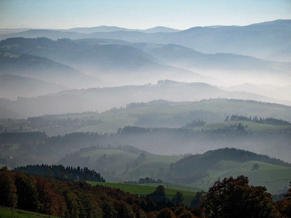 Schwarzwald