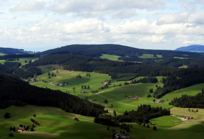 schwarzwald von Connynbg B. 