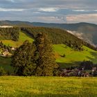 schwarzwald