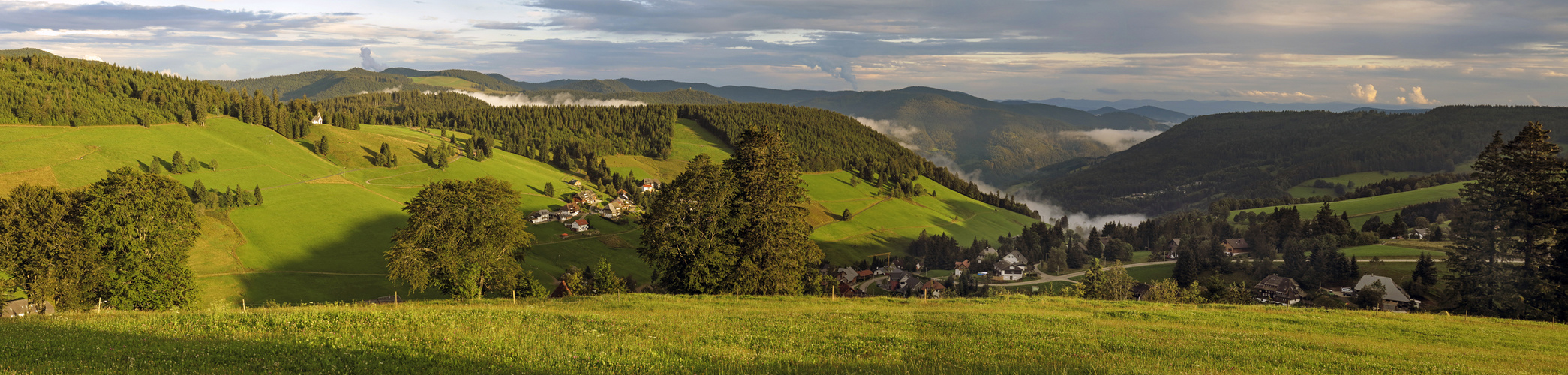 schwarzwald