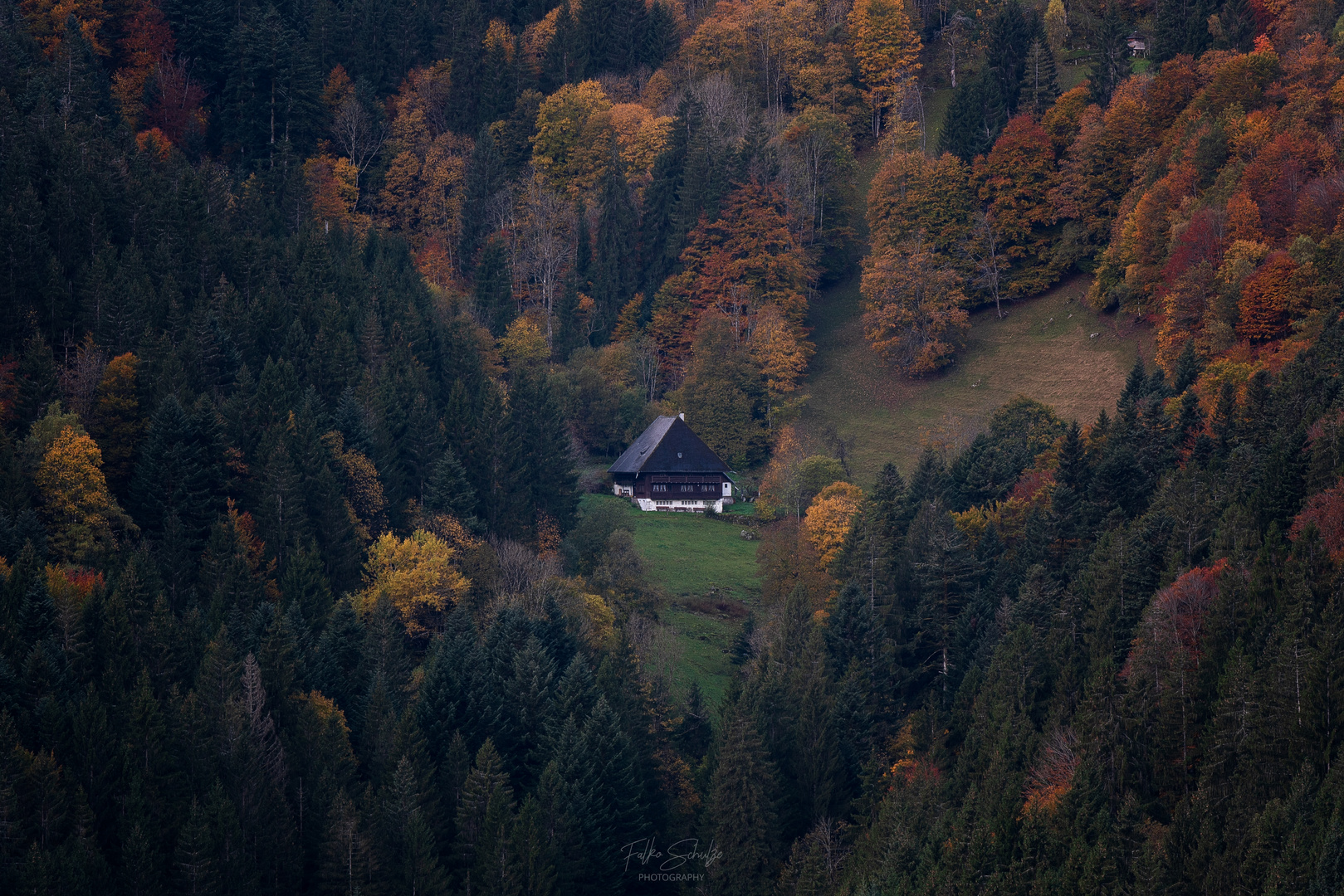 Schwarzwald Erinnerungen 