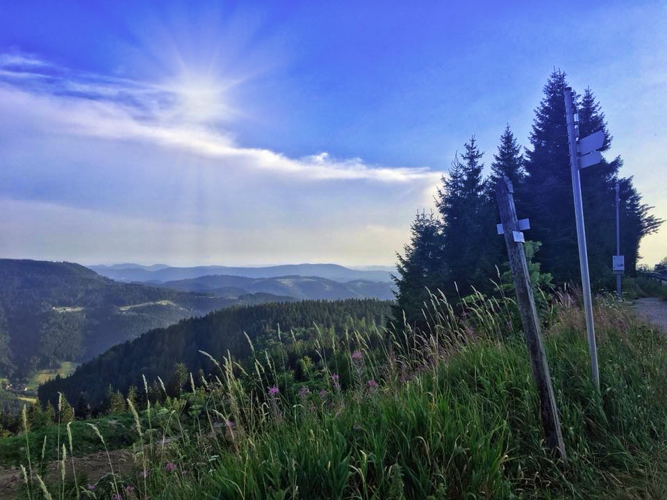 Schwarzwald