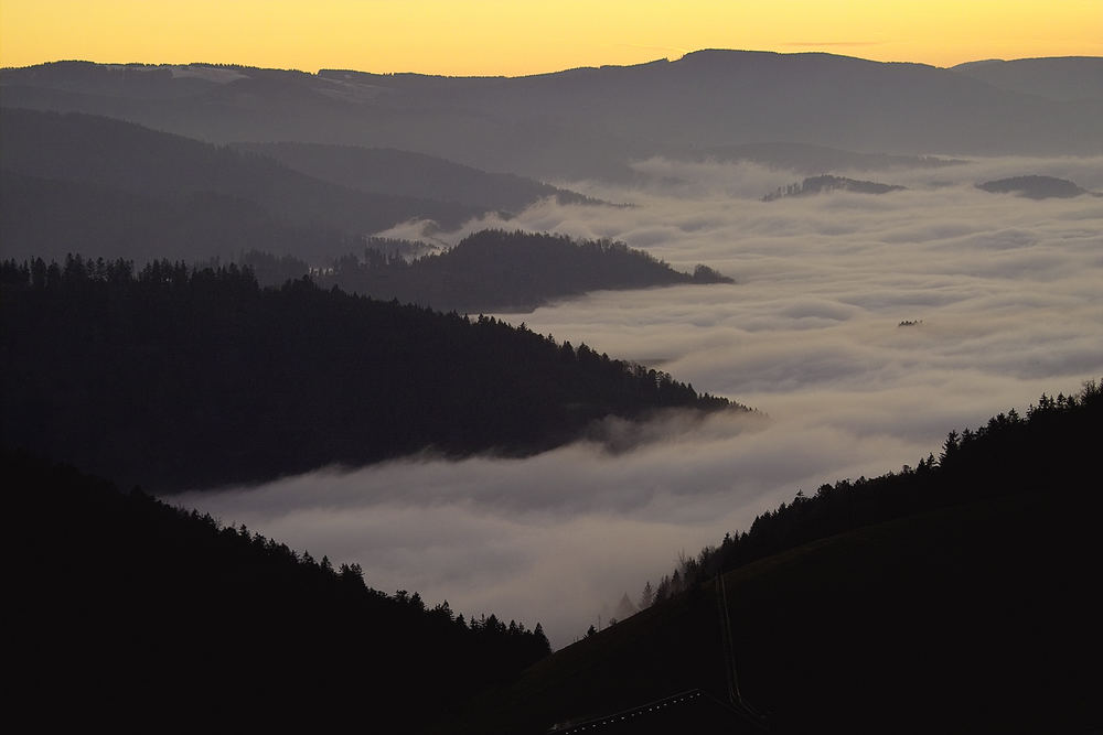 Schwarzwald - Fjorde