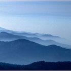 Schwarzwald ganz in Blau