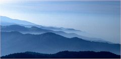 Schwarzwald ganz in Blau