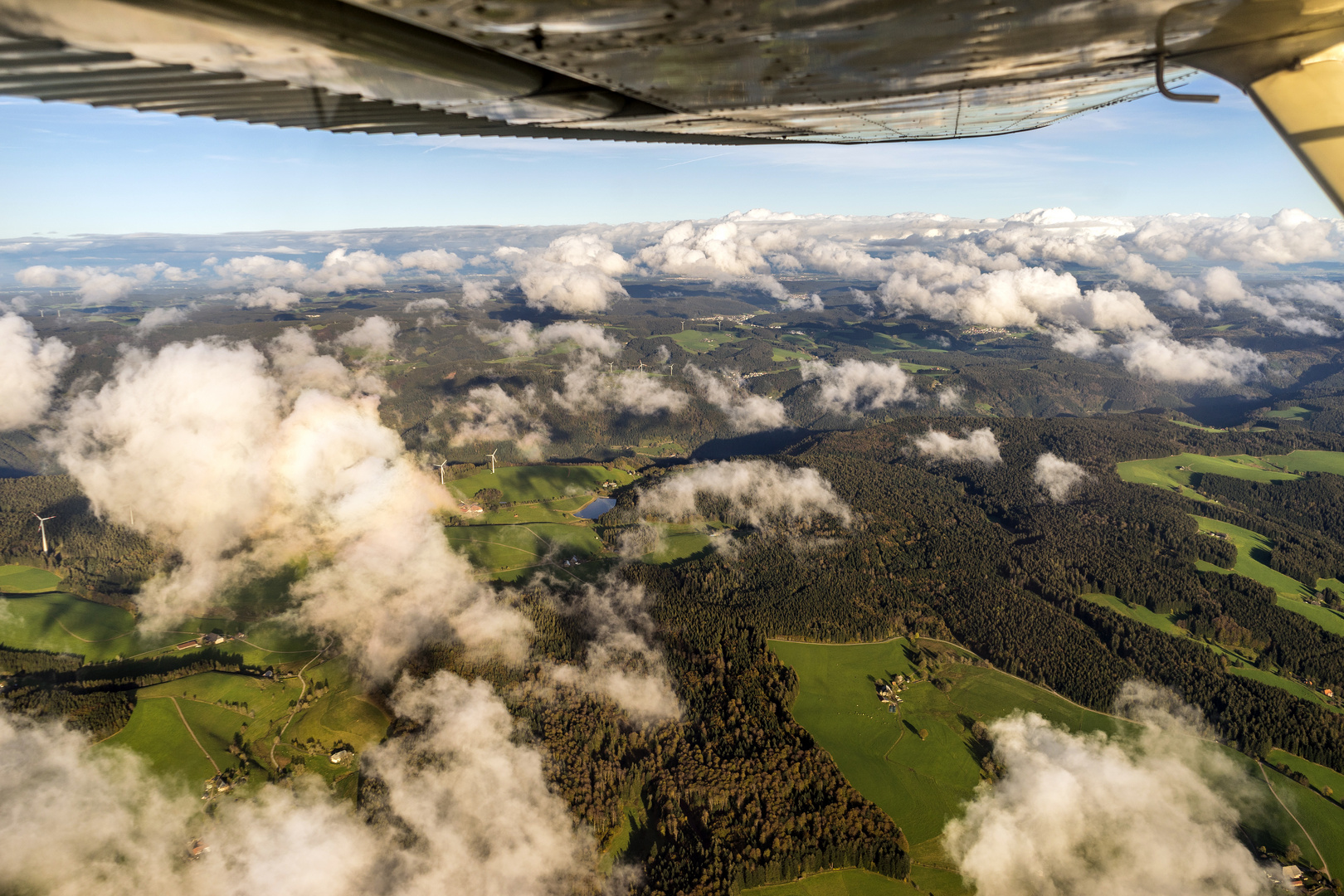 Schwarzwald Glück 