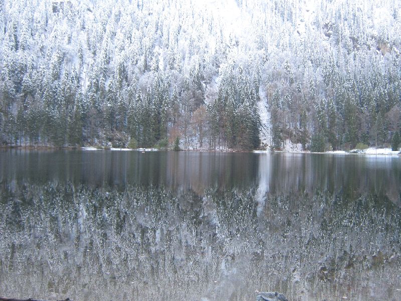 Schwarzwald - Grafenhausen