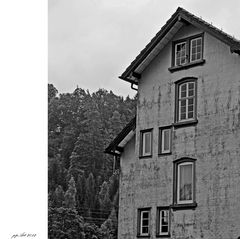 ...Schwarzwald // Haus...