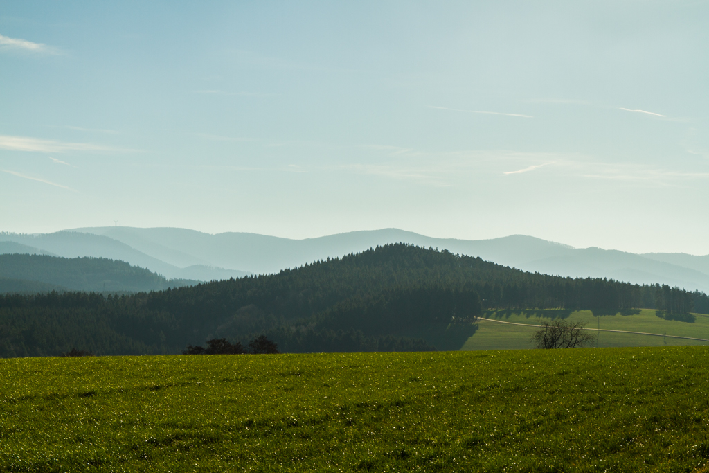 Schwarzwald Heidburg Kinzigtal