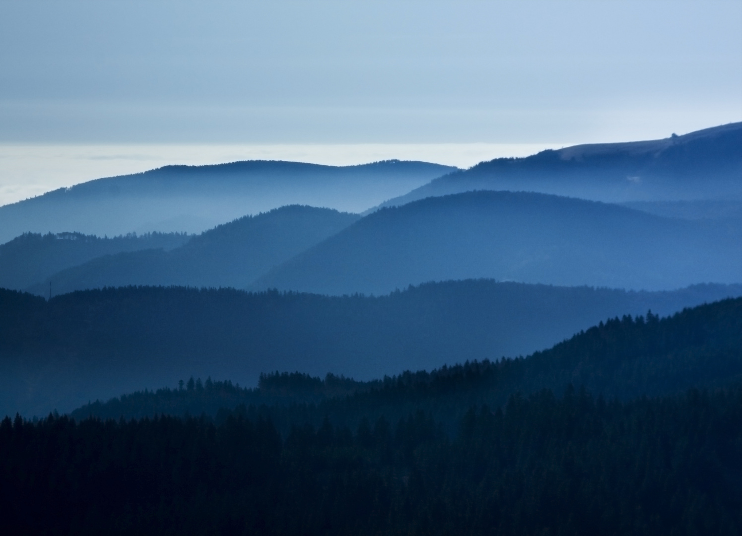 Schwarzwald heute blau