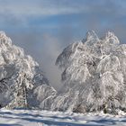 Schwarzwald-Hochkopf-