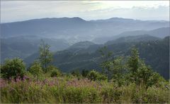 Schwarzwald-Höhe