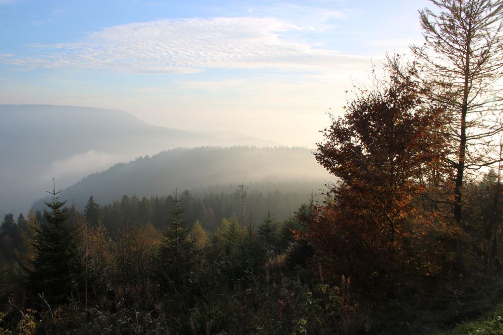 Schwarzwald Höhensicht