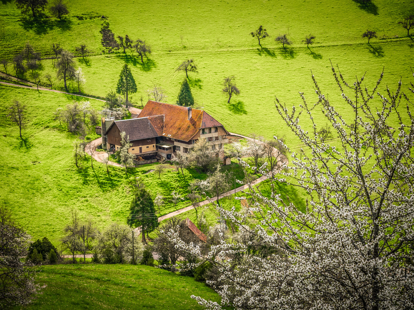 Schwarzwald-Hof