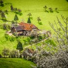 Schwarzwald-Hof