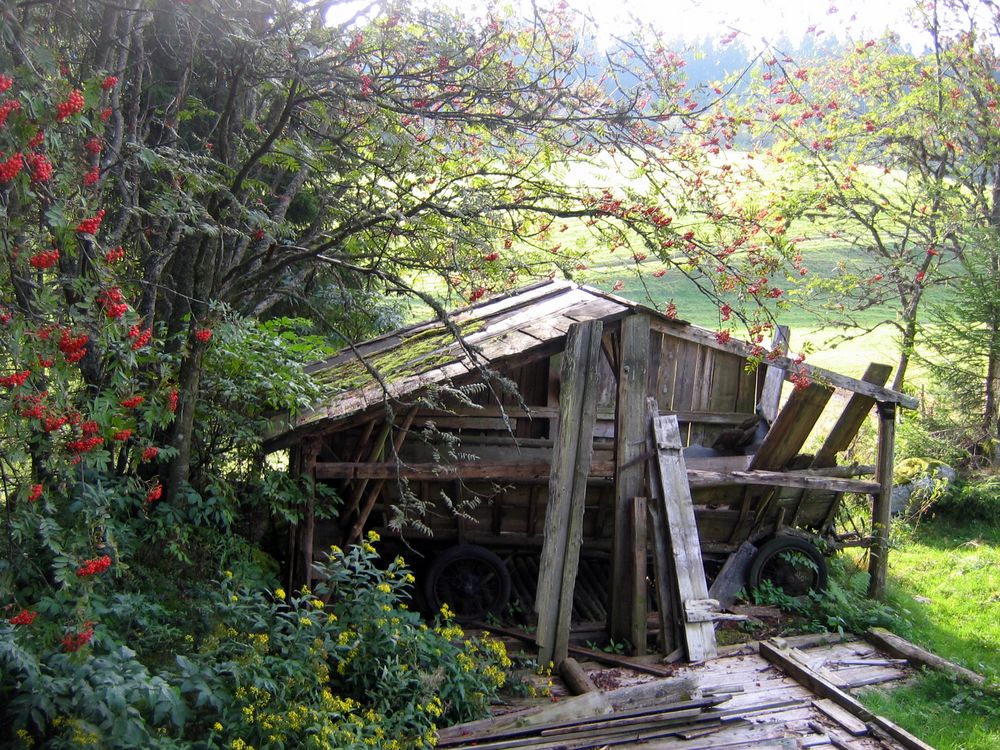 Schwarzwald Hütte von fenerbase 