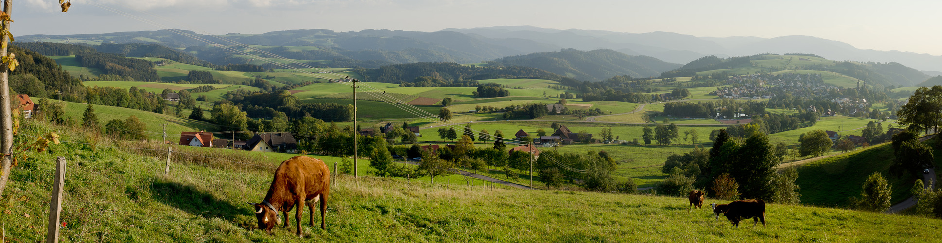 Schwarzwald-Idylle