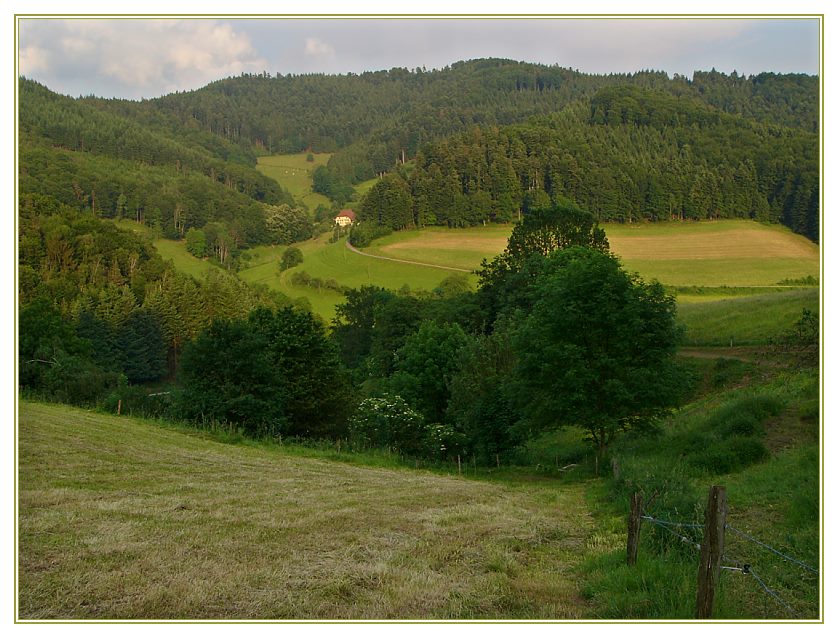 Schwarzwald-Idylle