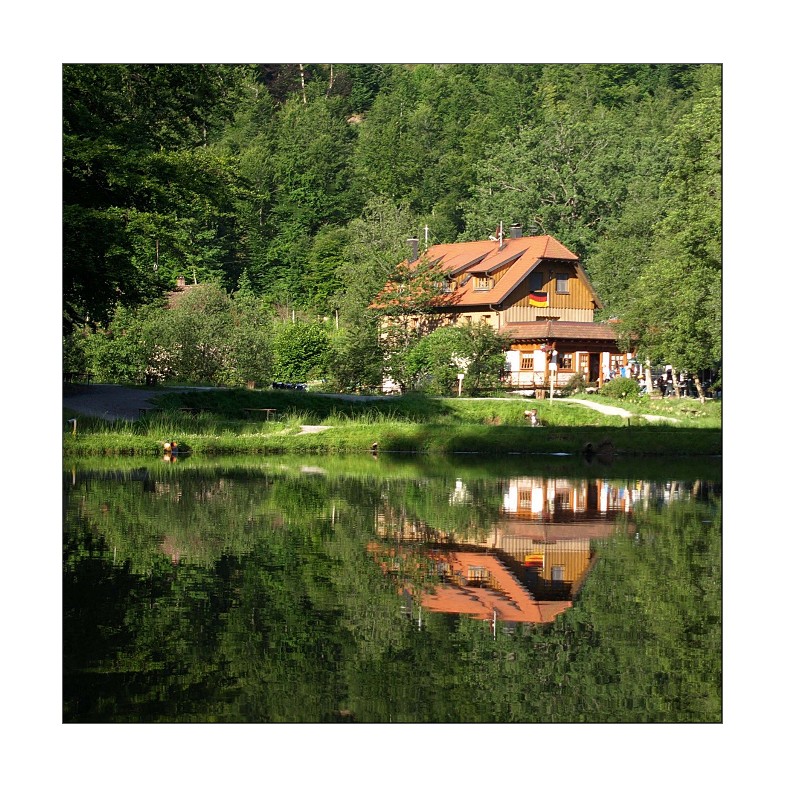 --- schwarzwald- idylle ---