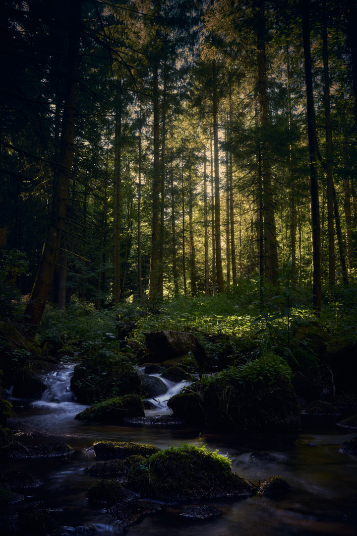 Schwarzwald Idylle