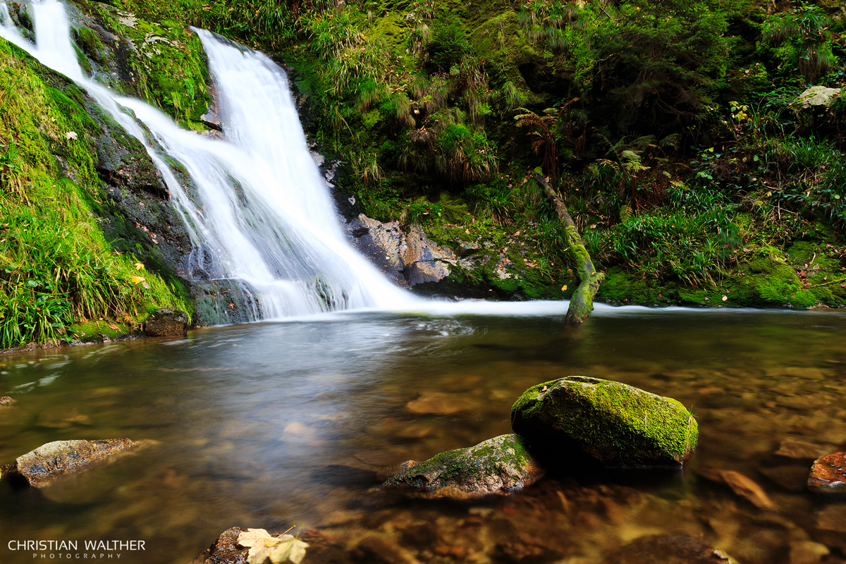 Schwarzwald II