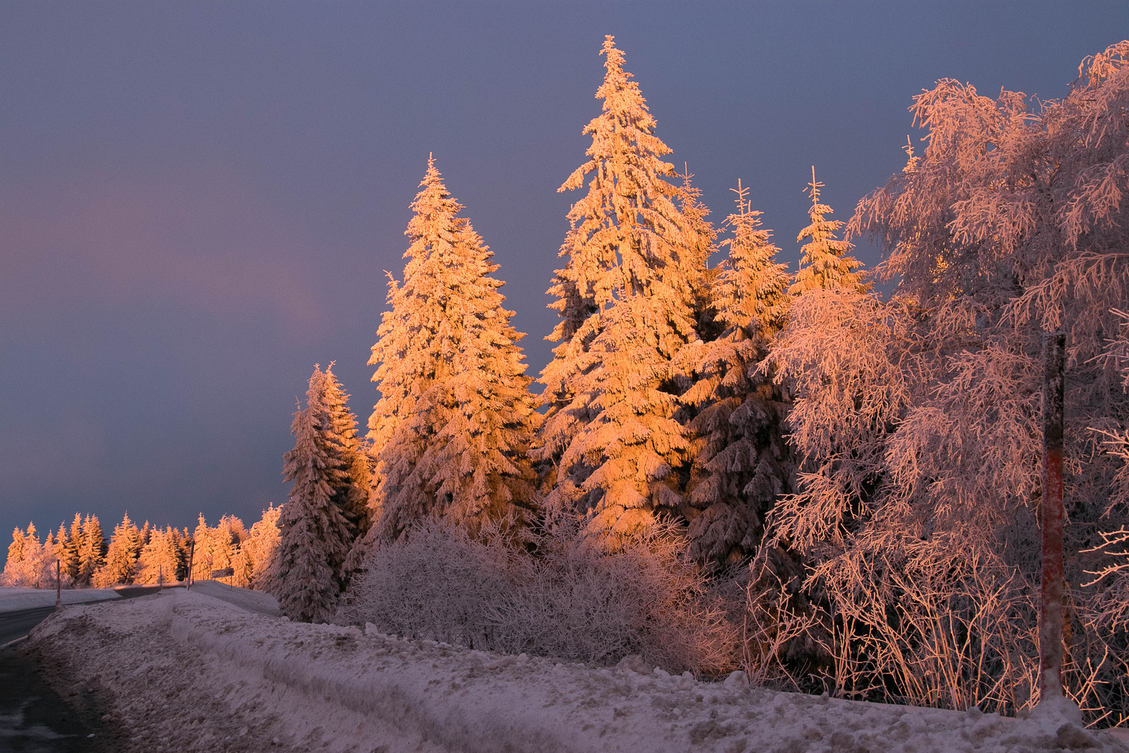 Schwarzwald im abendlichen Gegenbild